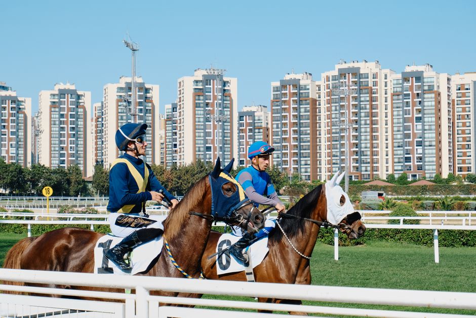解析馬匹在跑馬地表現優於沙田的賽道結構與競技因素