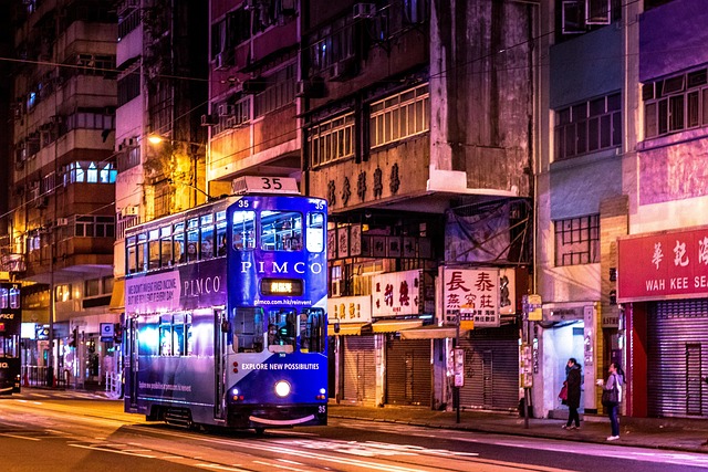 2025香港國際賽:<br>賠率點睇?