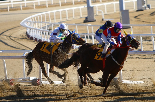 馬匹去除眼罩<br>選馬分析