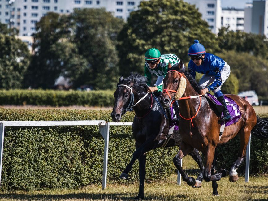 馬匹快地表現全面解析提升賽馬競速技巧指南
