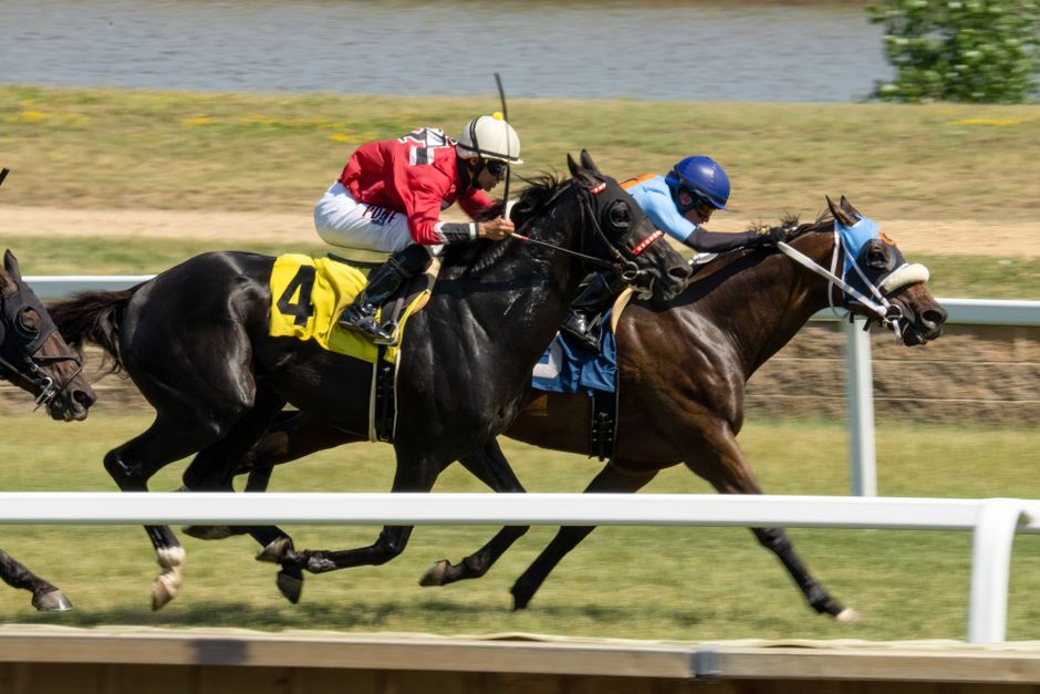 賽馬勝出馬規律解析掌握贏馬關鍵技巧