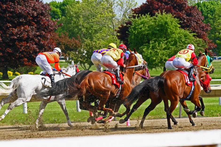 沙田練馬師近期勝率排名分析：香港賽馬會數據透視各師表現走勢