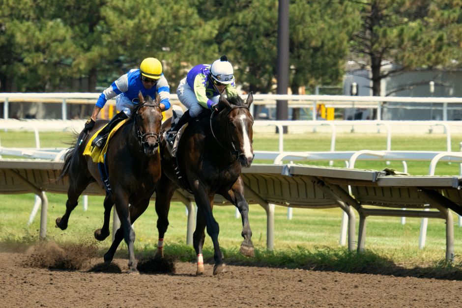 練馬師與騎師組合勝率分析：數據解讀與實戰應用指南