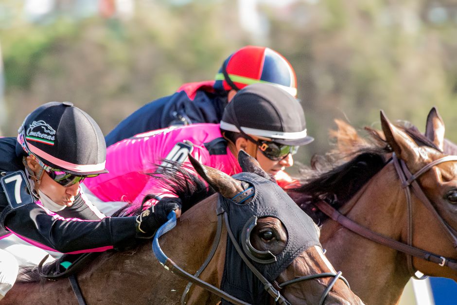 練馬師勝率數據解析：理性選馬決策的關鍵參考指標